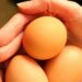 卵の食べ過ぎが原因で起こる体の不調と改善するための方法5つ