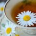 ギムネマ茶に秘められた6つの効用効果をダイエットで活かす方法